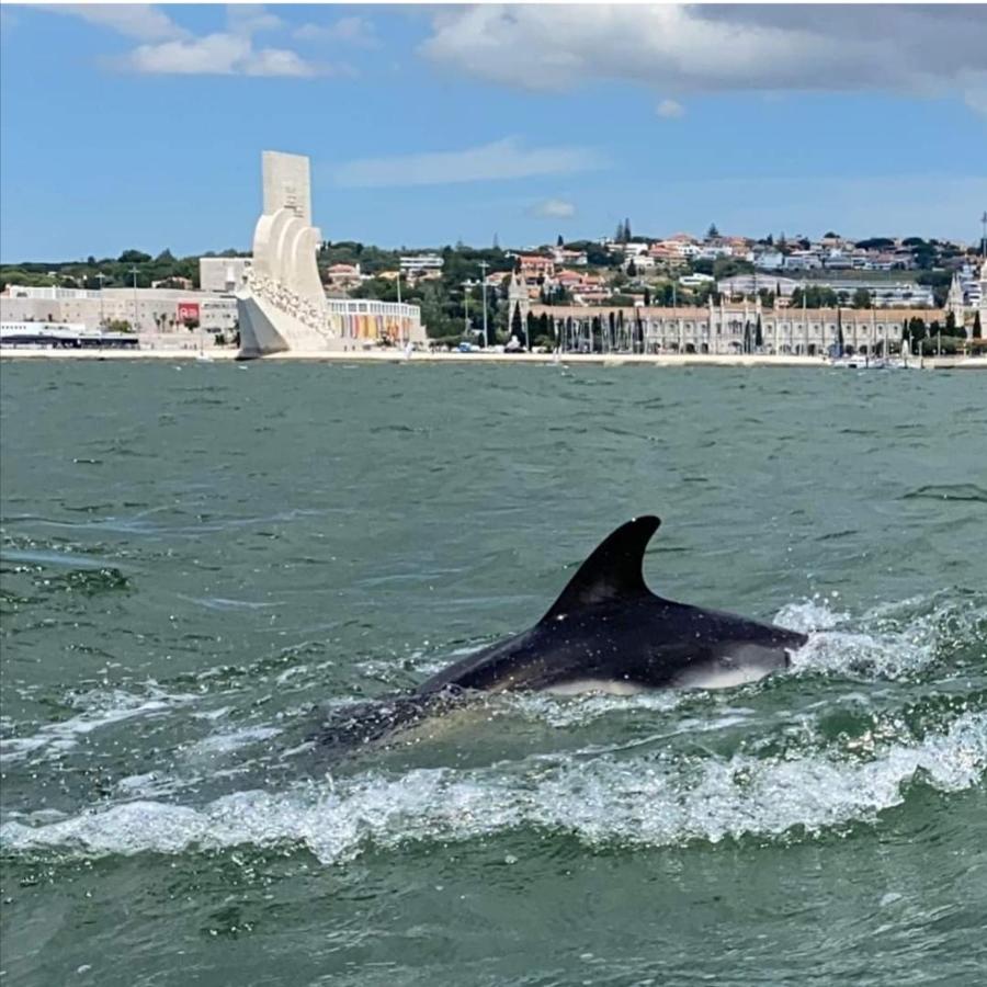 Tejo House River Lisbon อัลมาดา ภายนอก รูปภาพ